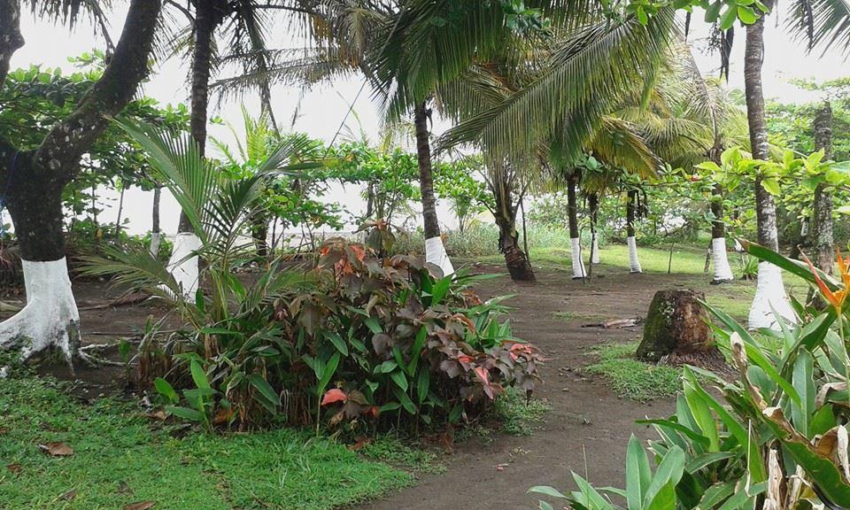 Cabinas Balcon Del Mar Tortuguero Exterior foto